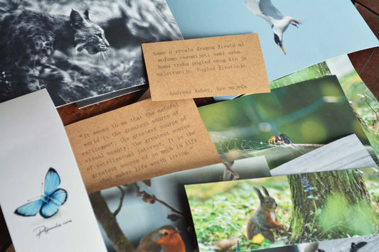 POSTCARDS FROM NATURE 🌿