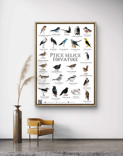 The "migratory birds of Croatia" poster - poster - Laura