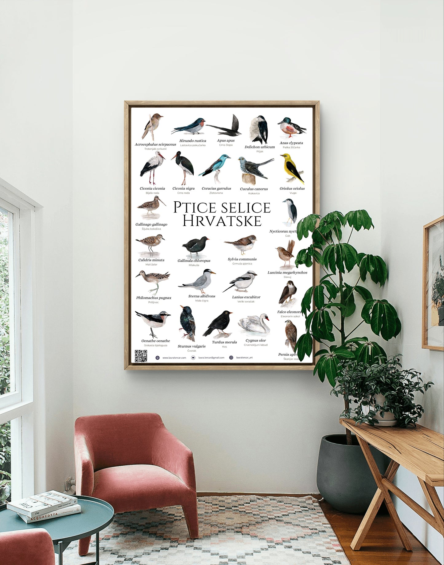 The "migratory birds of Croatia" poster - poster - Laura