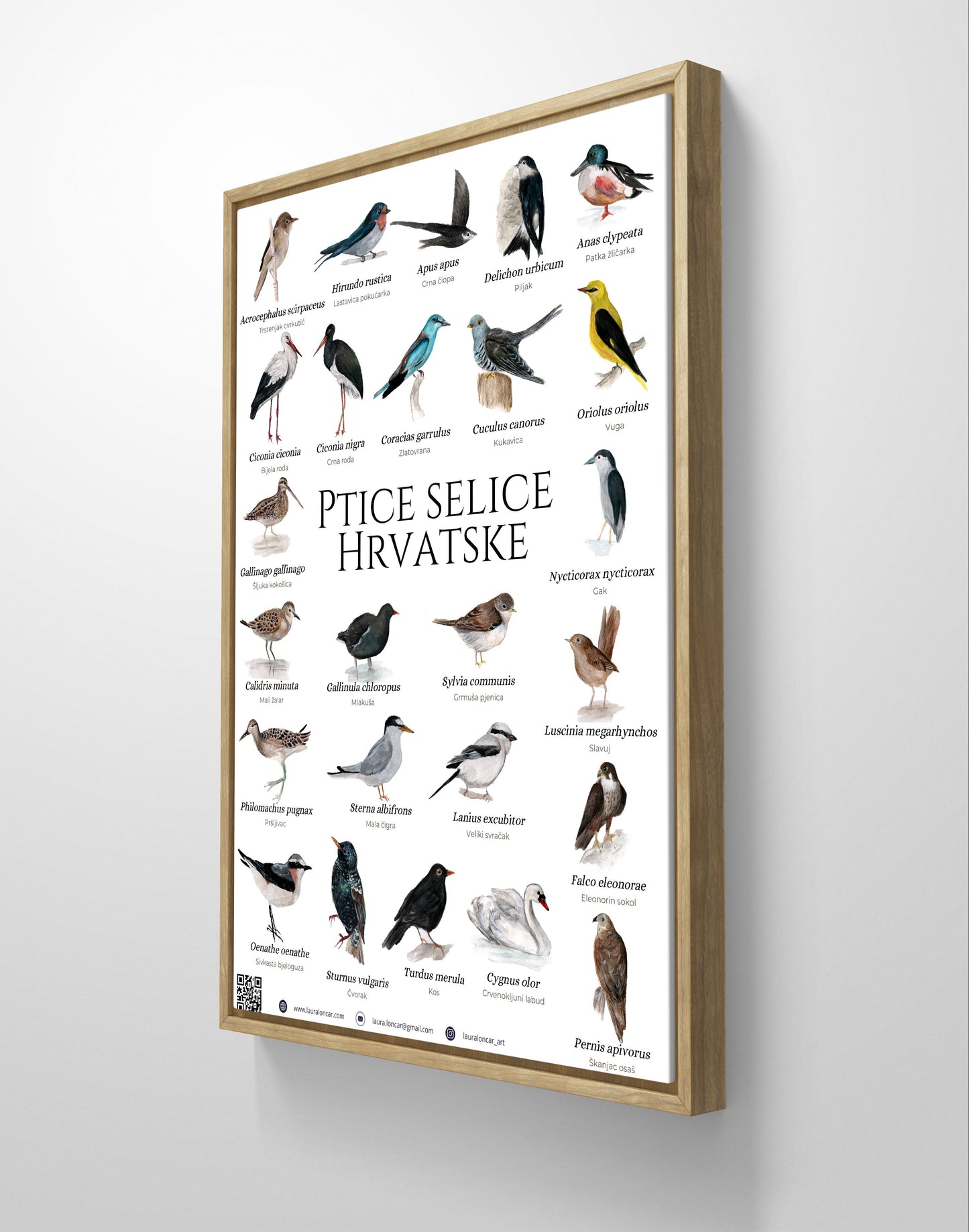 The "migratory birds of Croatia" poster - poster - Laura