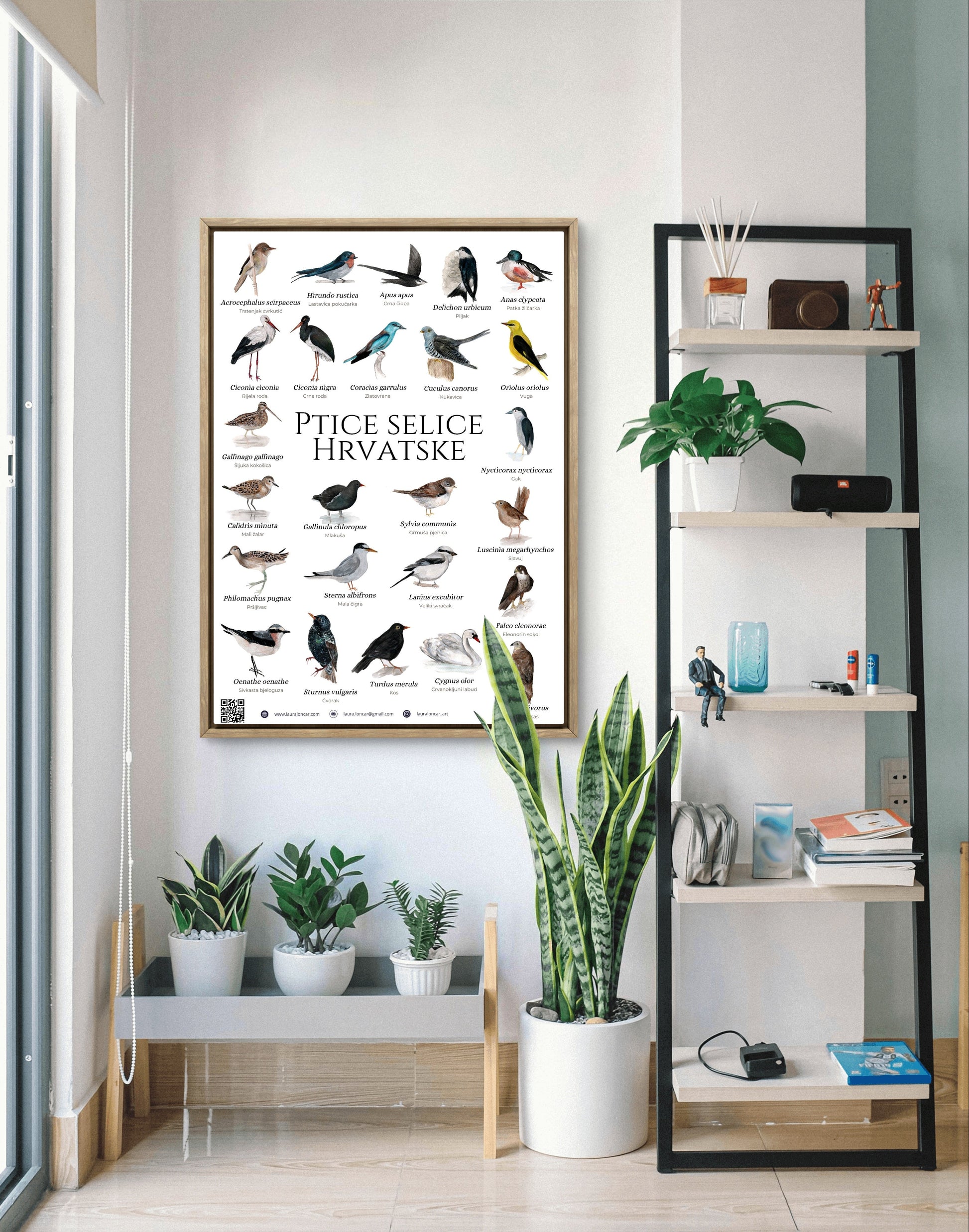 The "migratory birds of Croatia" poster - poster - Laura