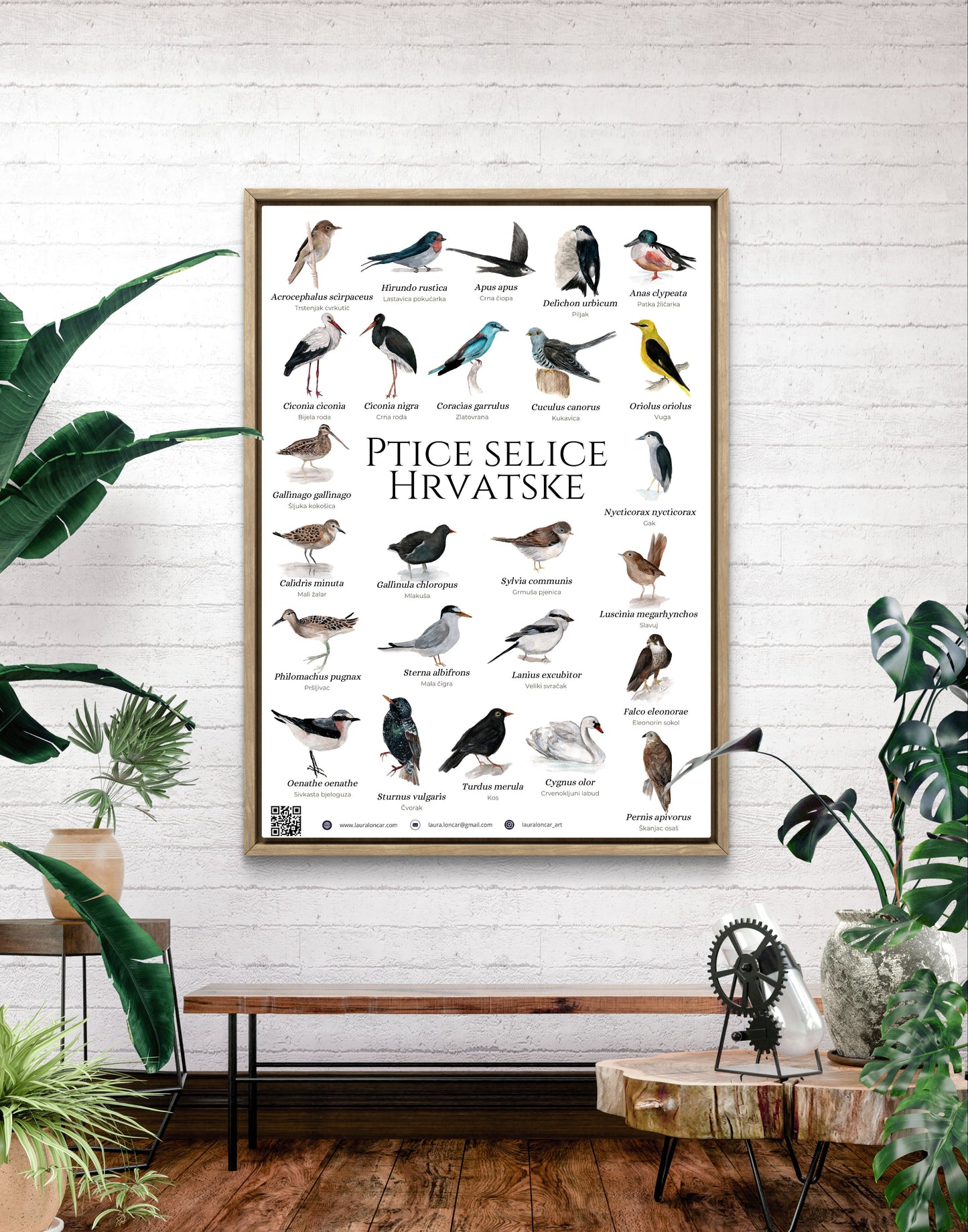 The "migratory birds of Croatia" poster - poster - Laura