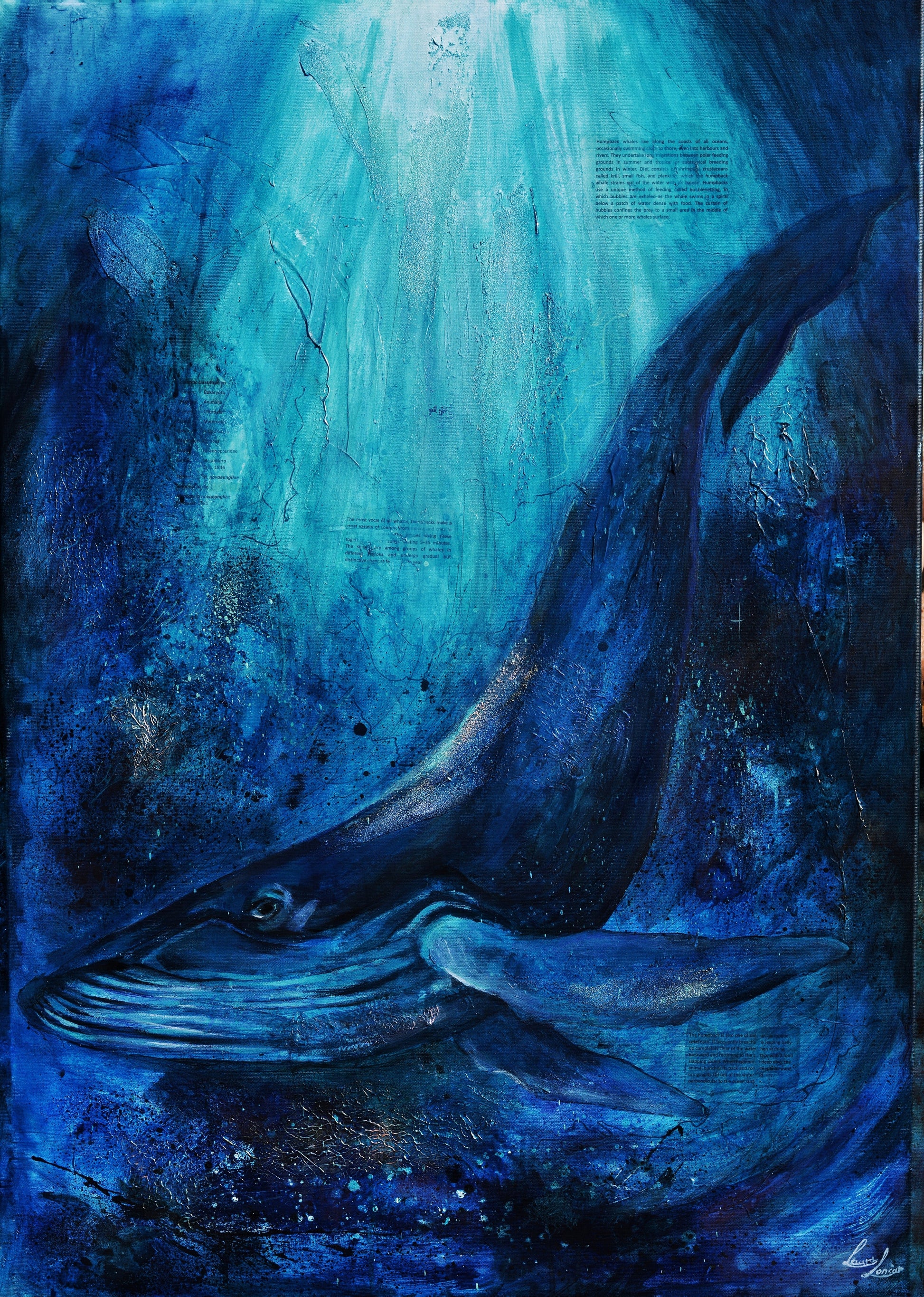 Whale songs - Artistic explorations